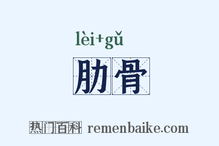 肋骨是什么意思的图片